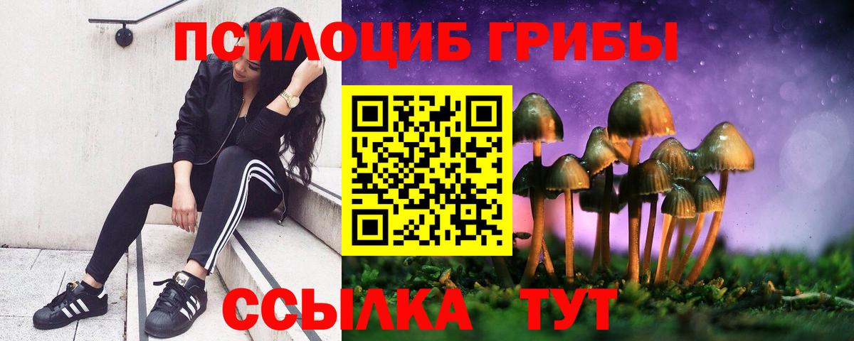сколько стоит  Псилоцибиновые грибы Psilocybine cubensis  Вход с VPN  Великие Луки 