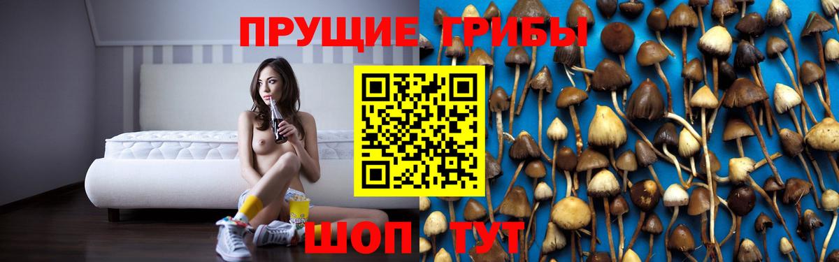 Псилоцибиновые грибы Magic Shrooms Великие Луки